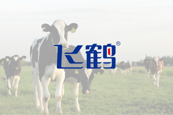 飞鹤乳业×ToDesk |  优化设备运维效率，向国际一流乳品企业迈进